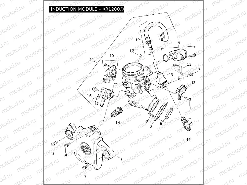 INDUCTION MODULE - XR1200/X