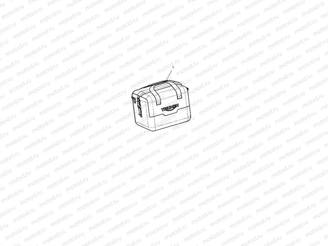 Inner Bag