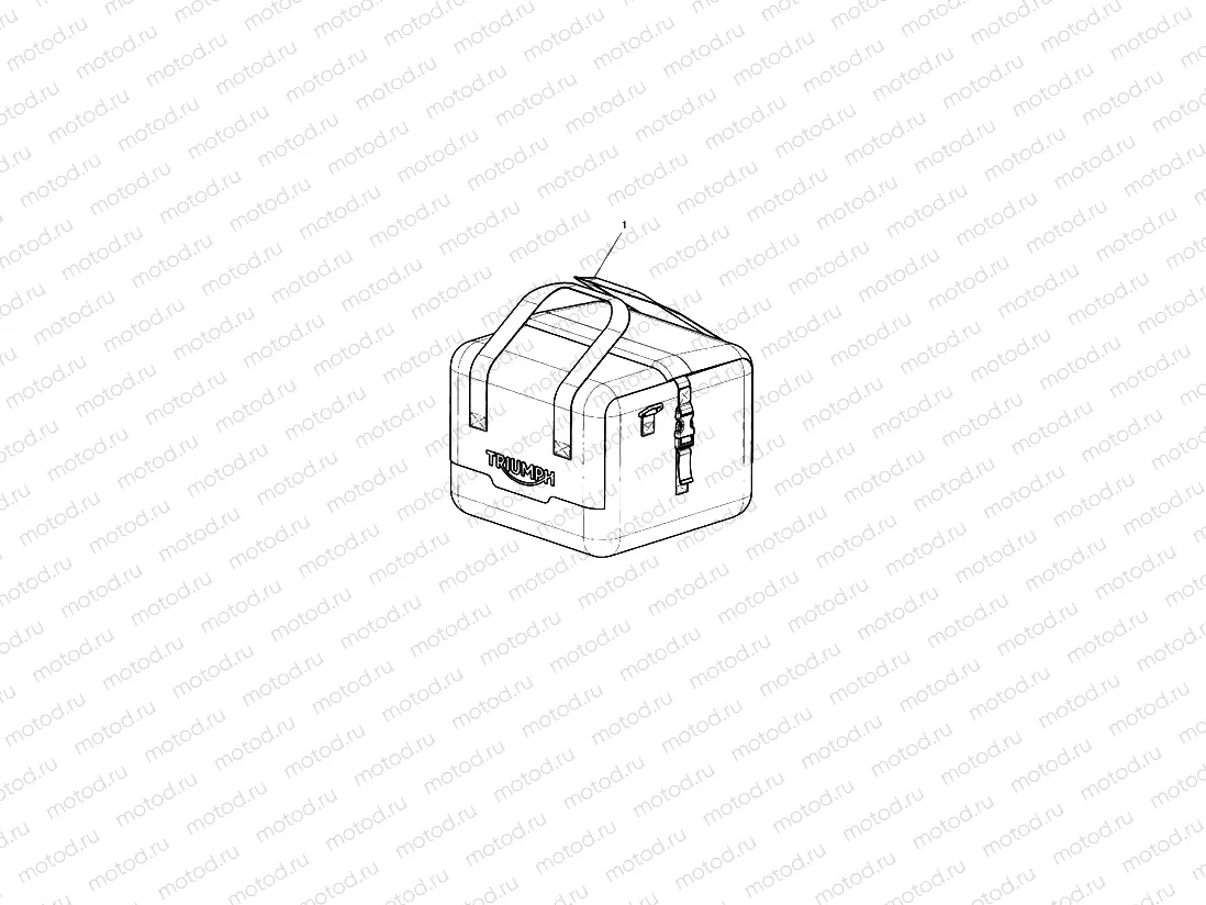 Inner Bag (Aluminium Luggage)