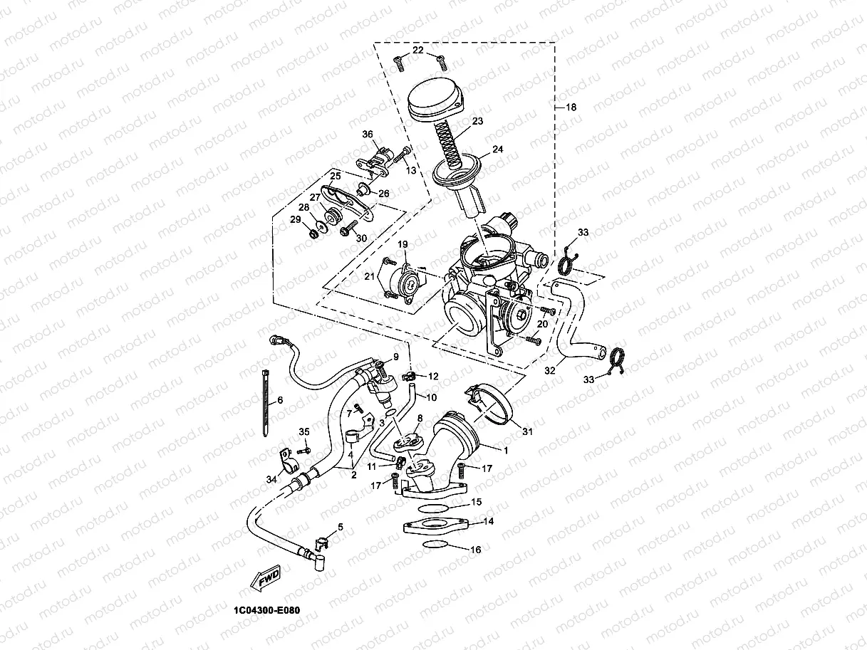 INTAKE