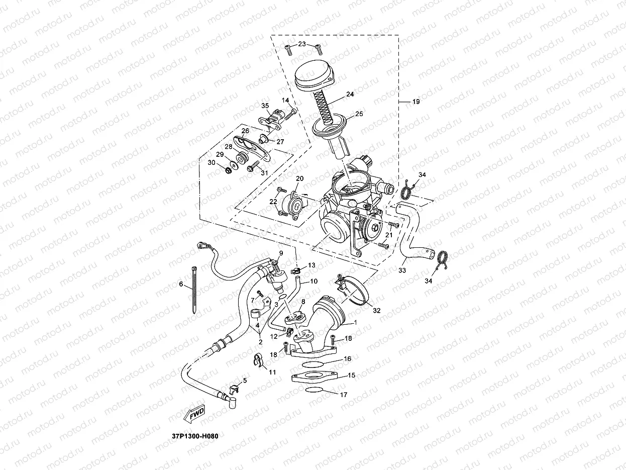 INTAKE