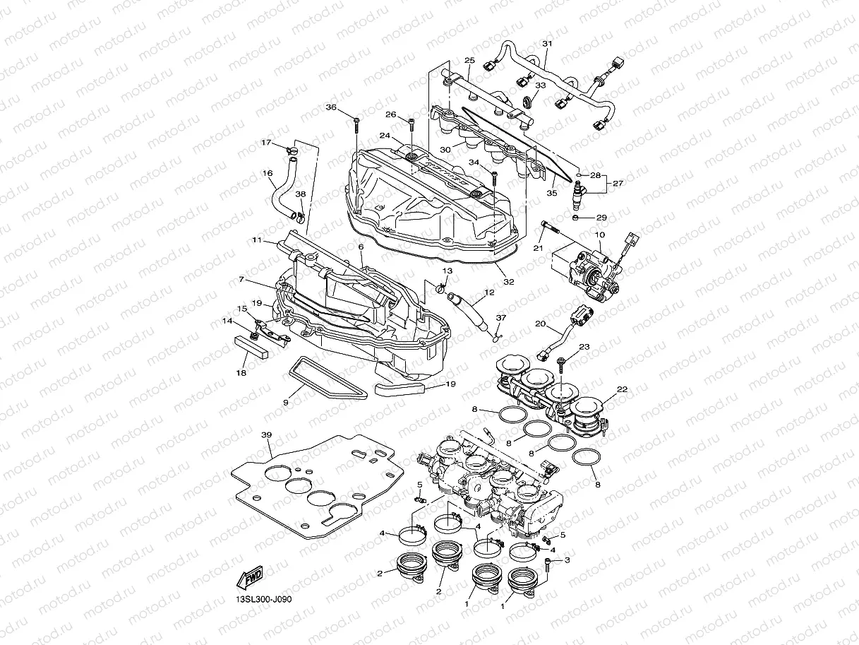 INTAKE