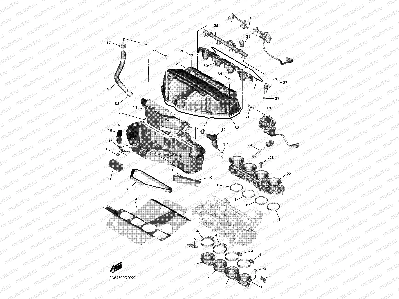 INTAKE