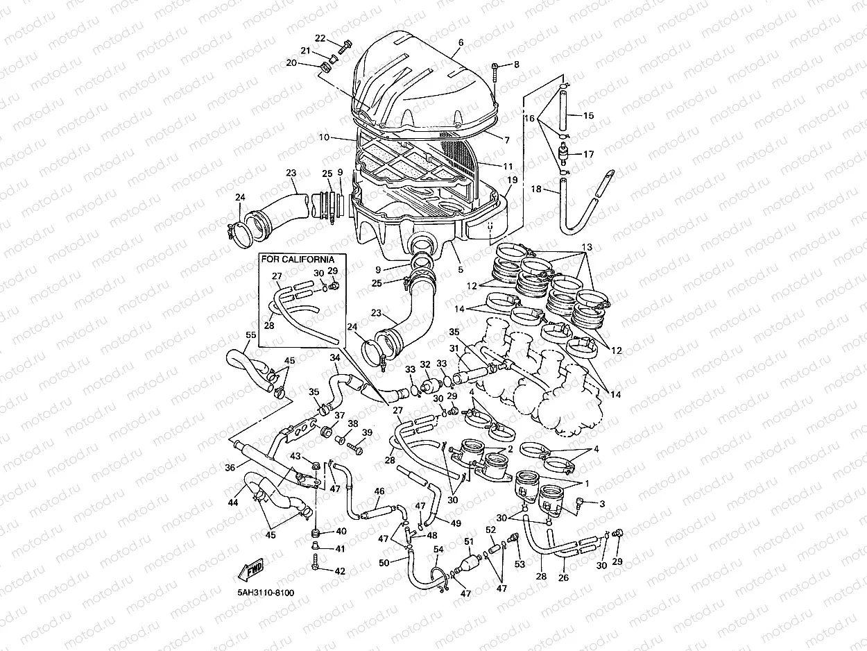 INTAKE
