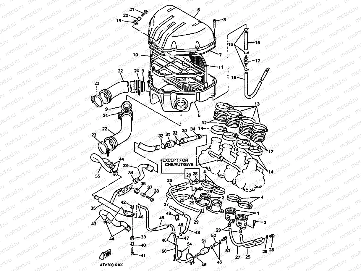 INTAKE