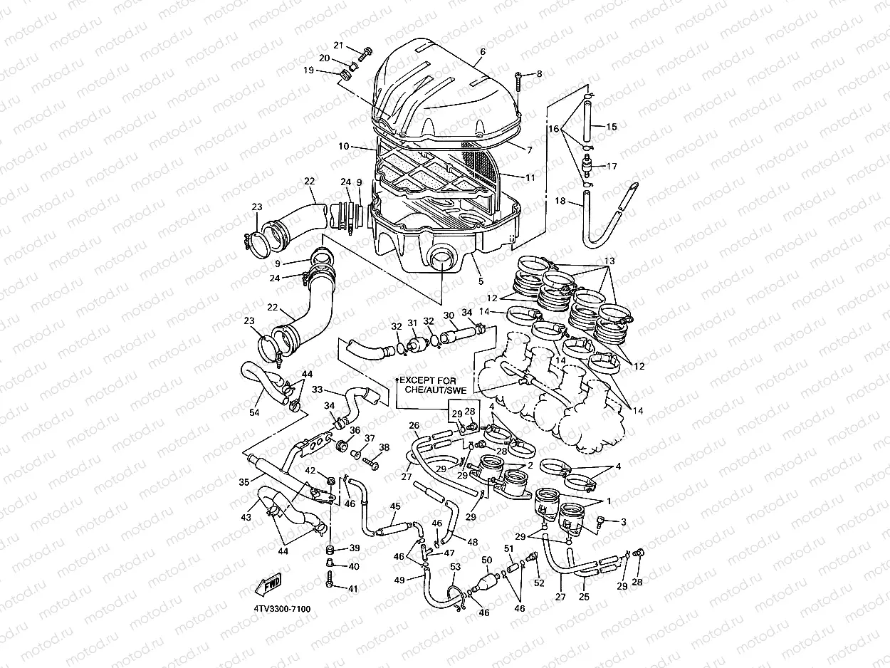 INTAKE