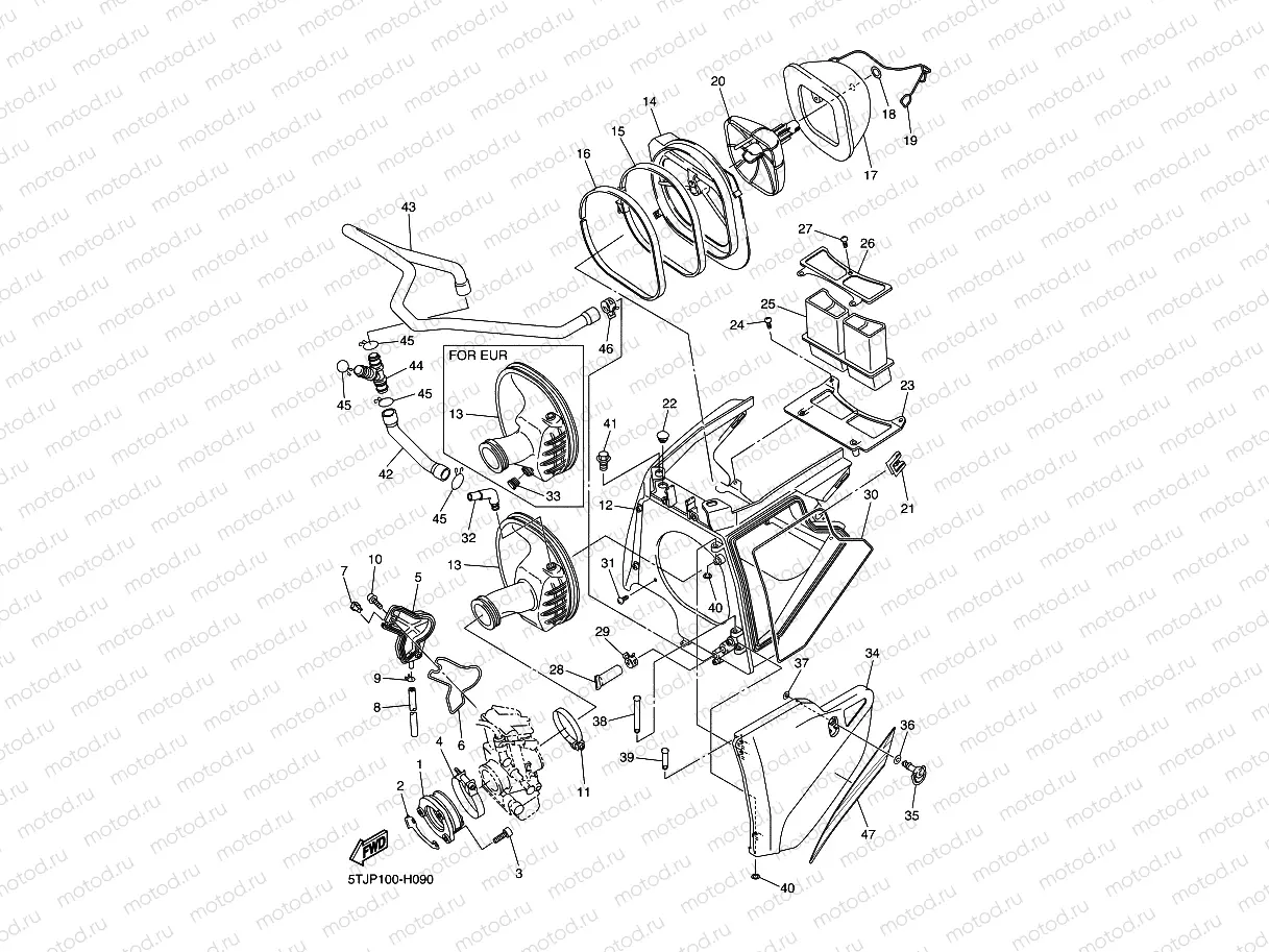 INTAKE