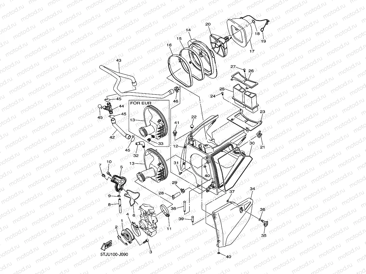 INTAKE