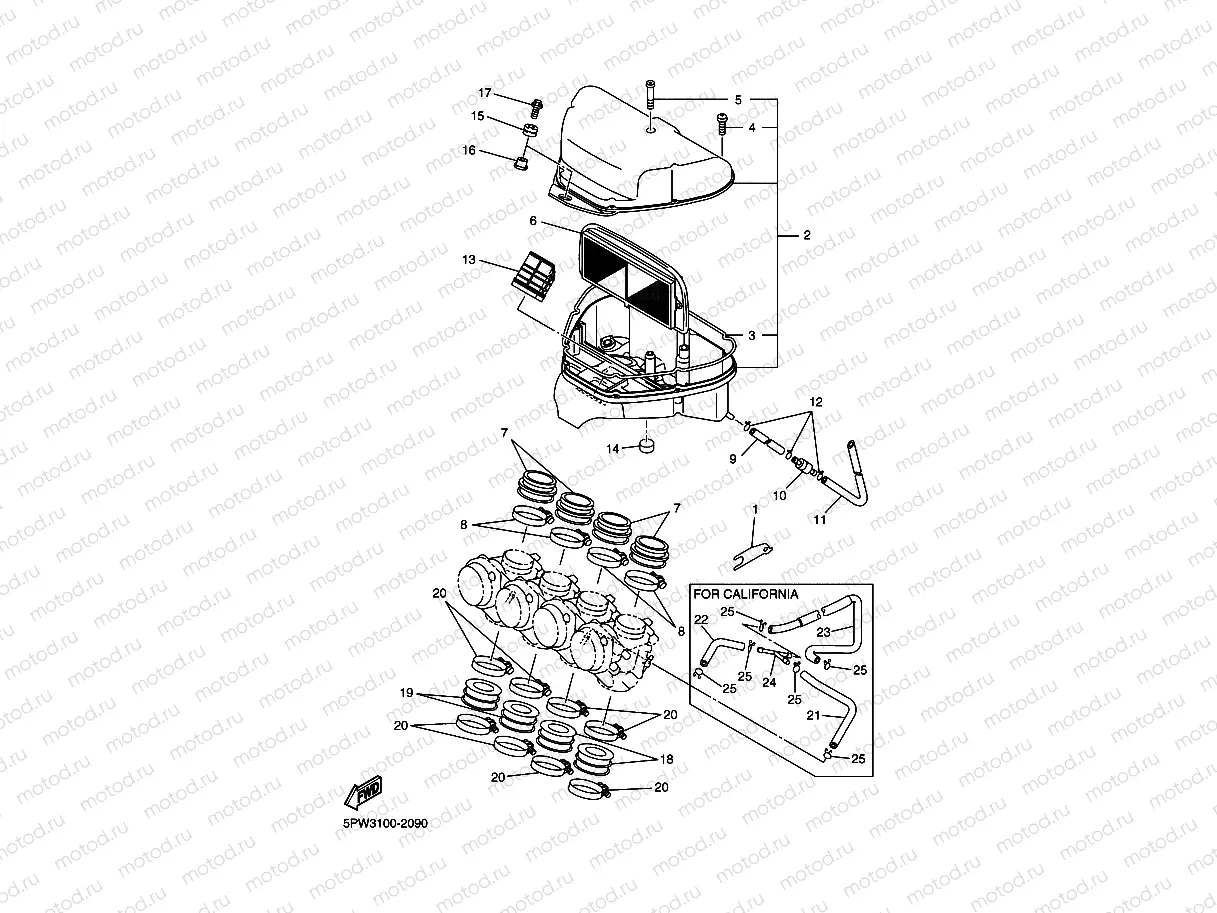 INTAKE