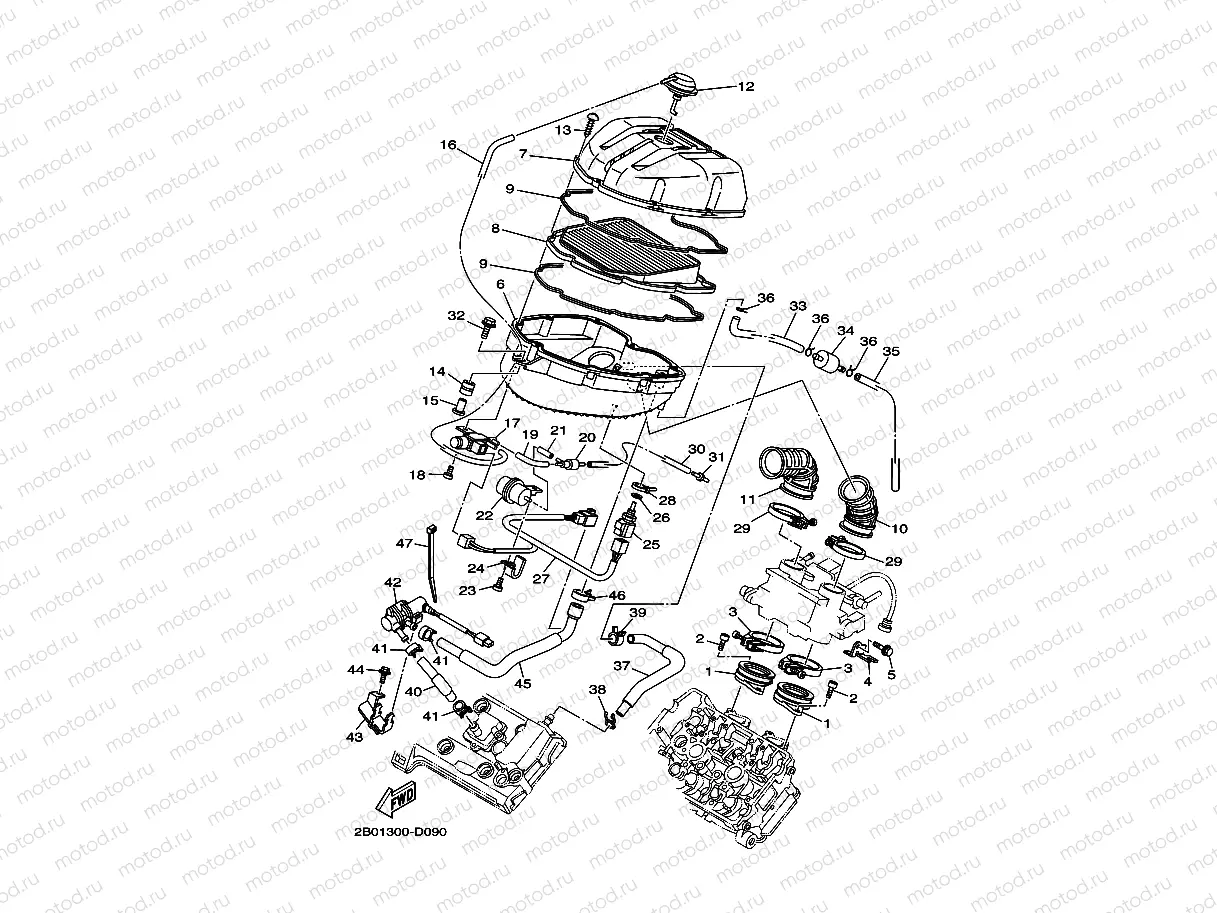 INTAKE