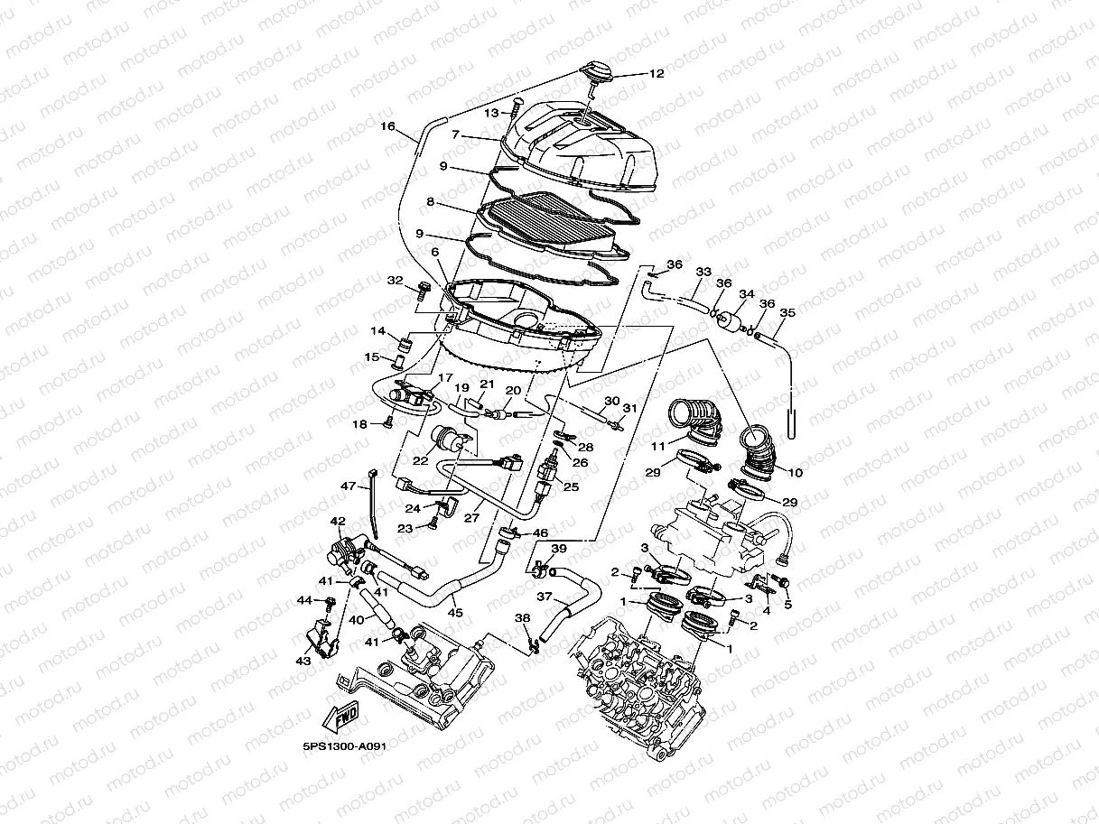 INTAKE