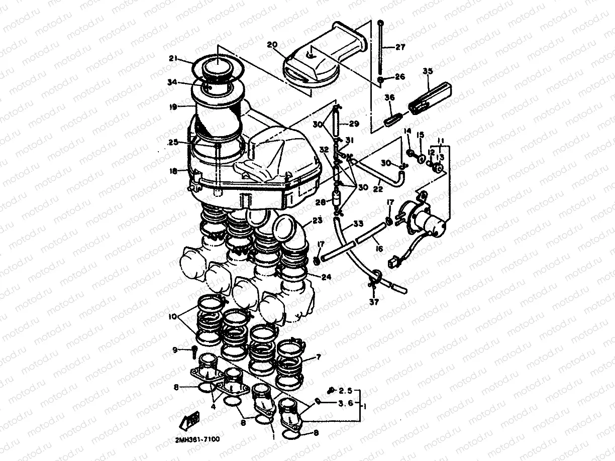 INTAKE