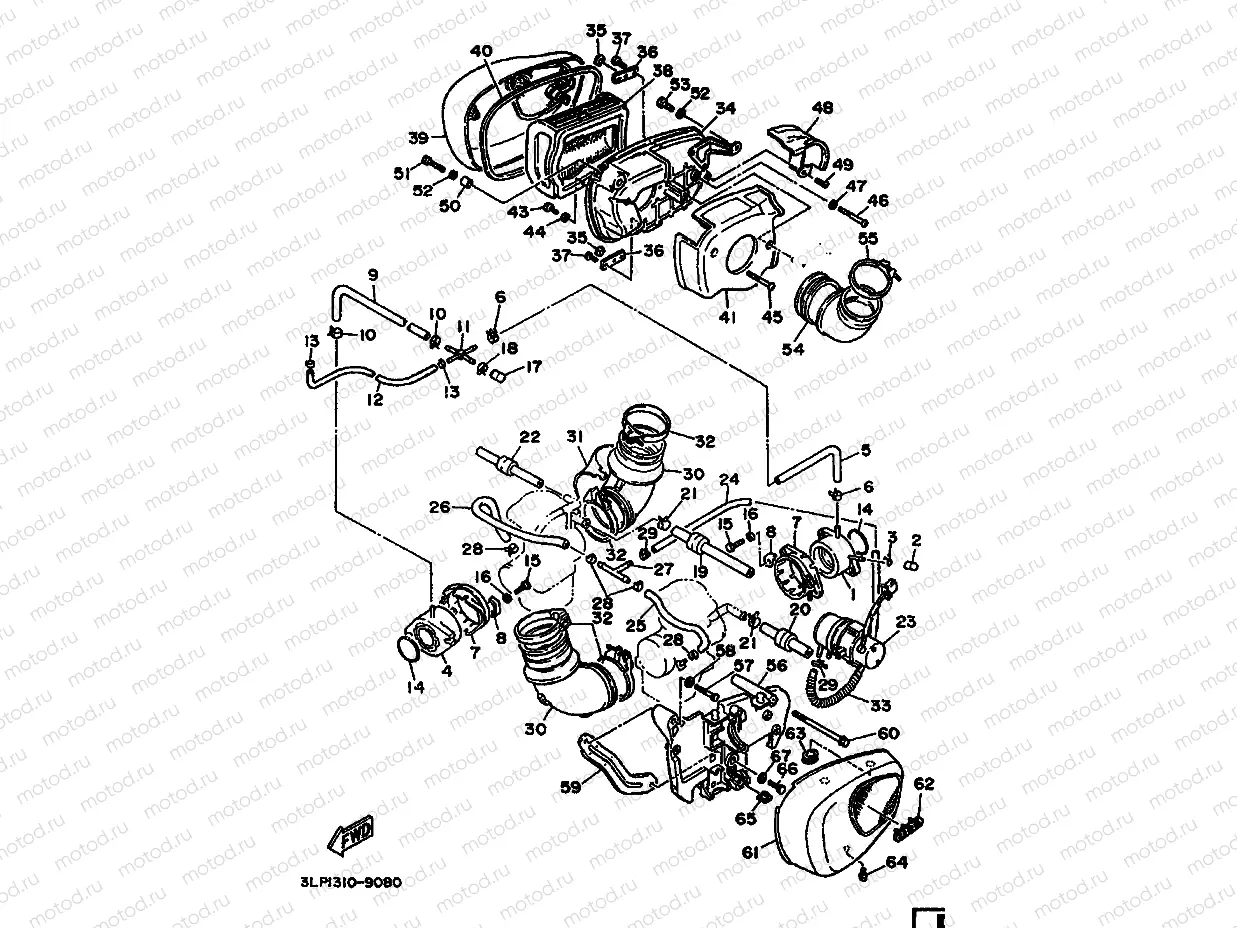 INTAKE
