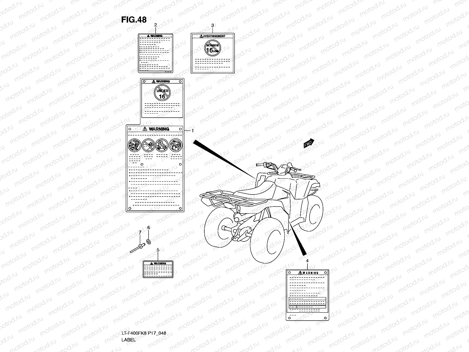 LABEL (P17)