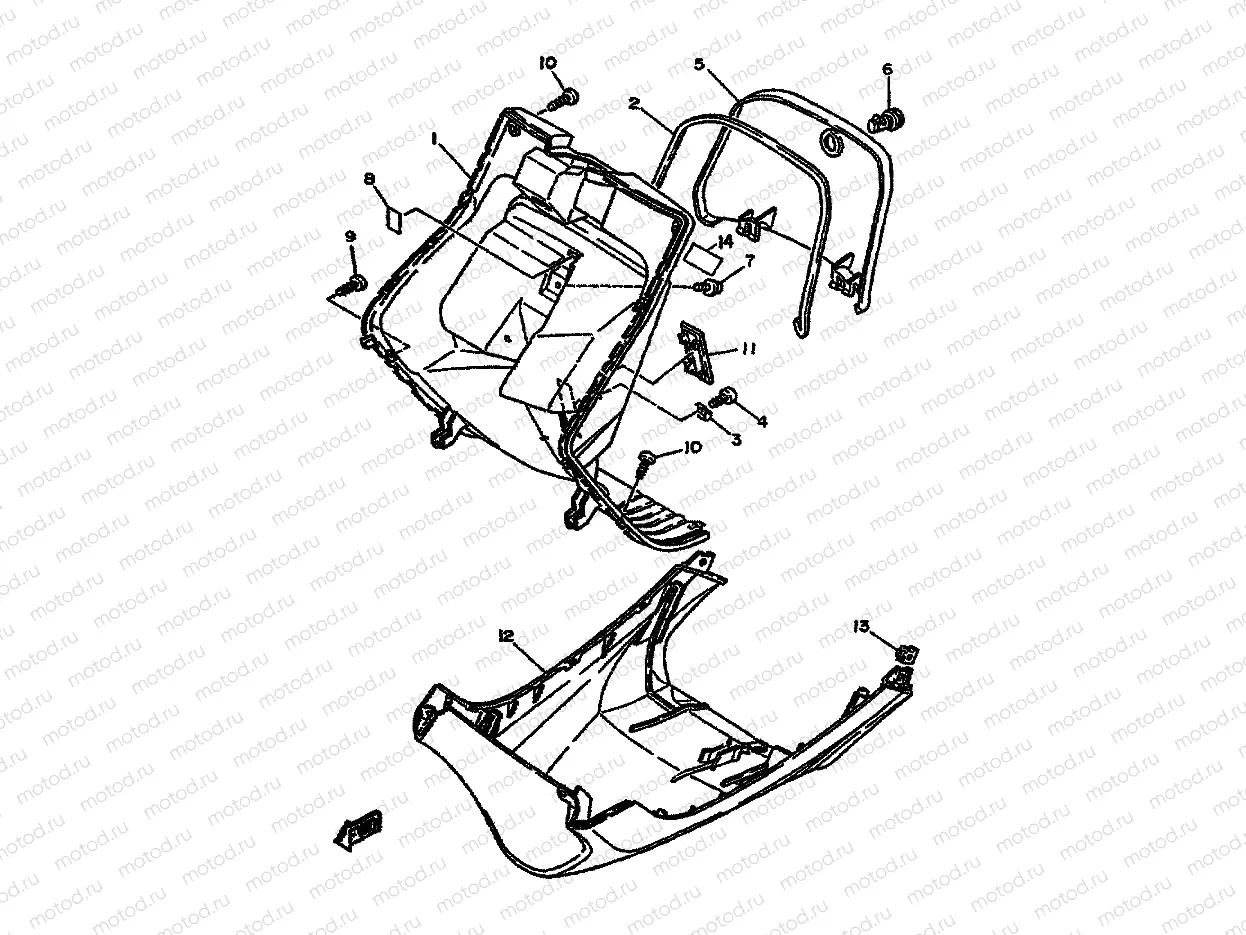 LEG SHIELD
