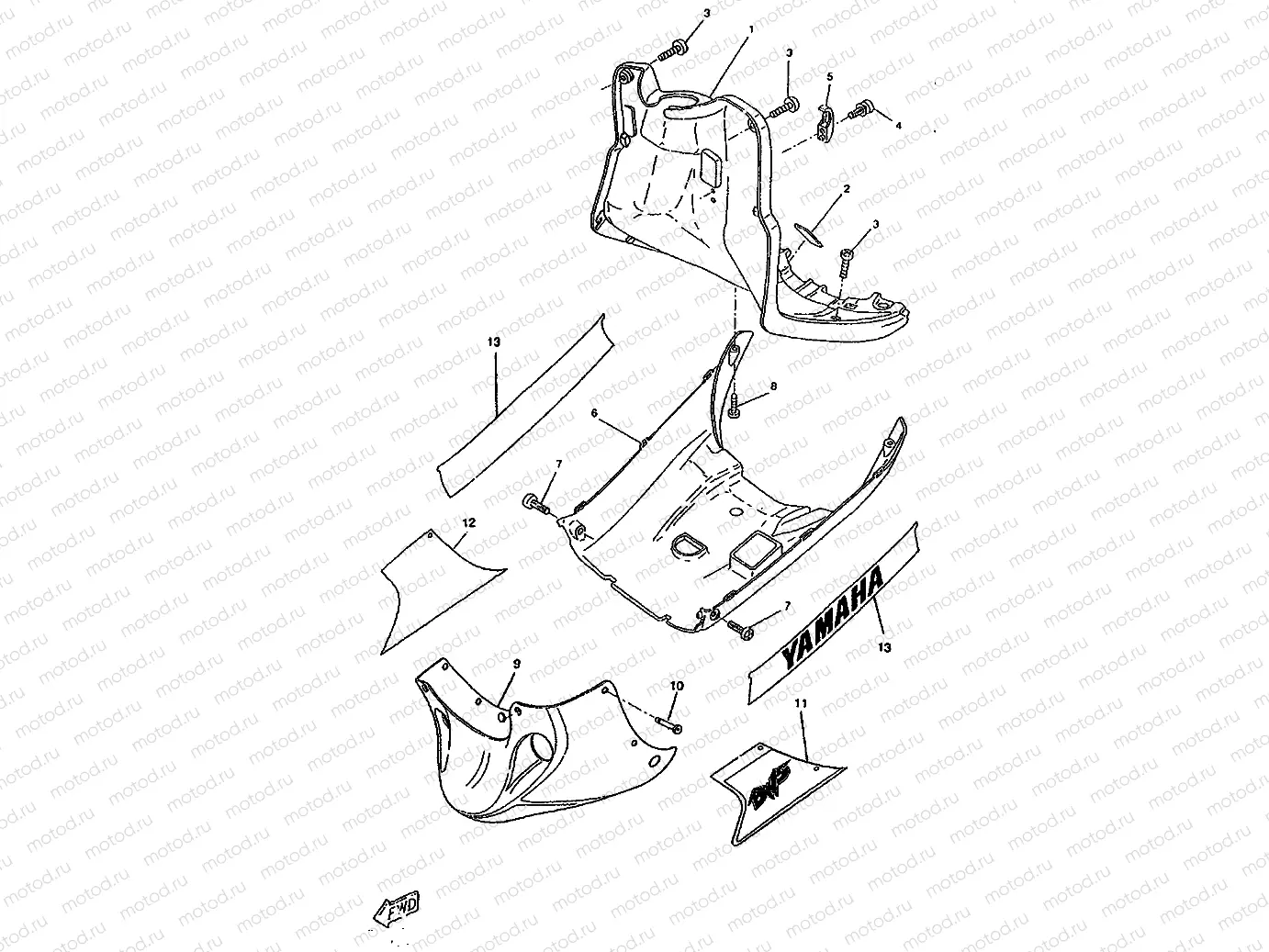 LEG SHIELD