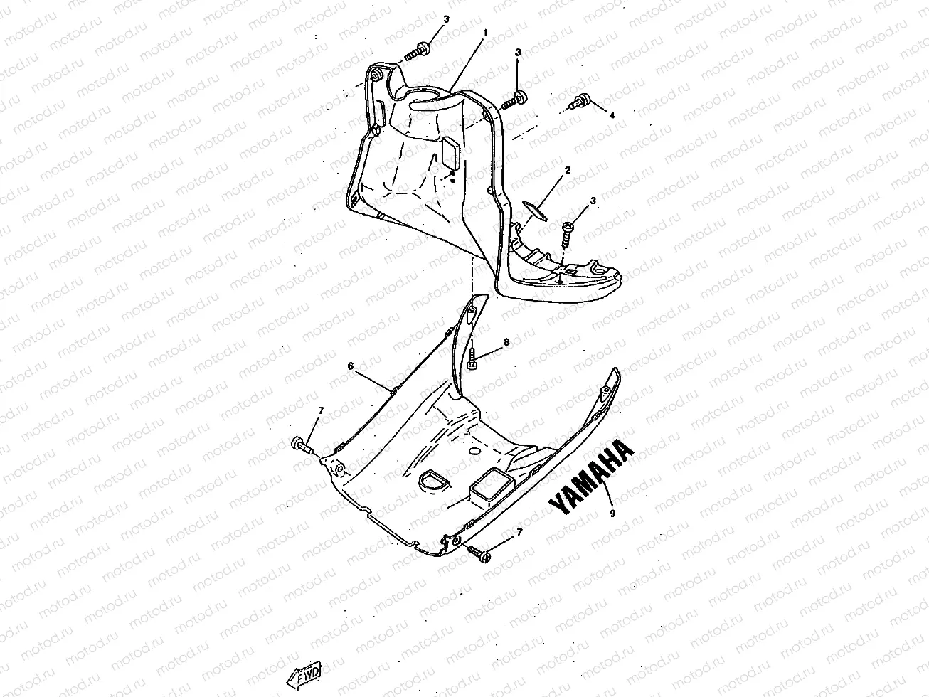 LEG SHIELD