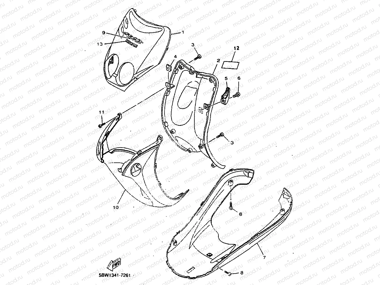 LEG SHIELD