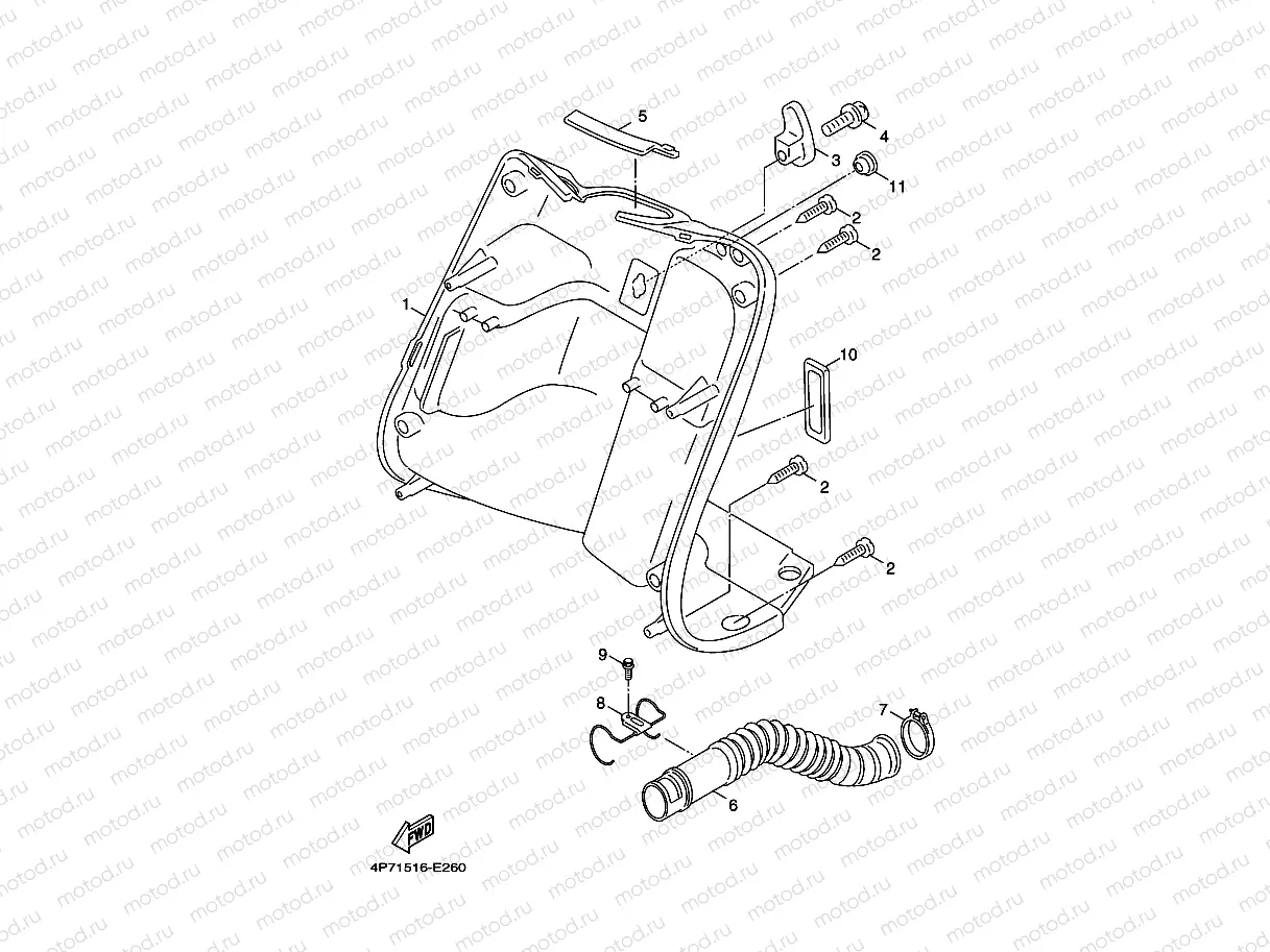 LEG SHIELD