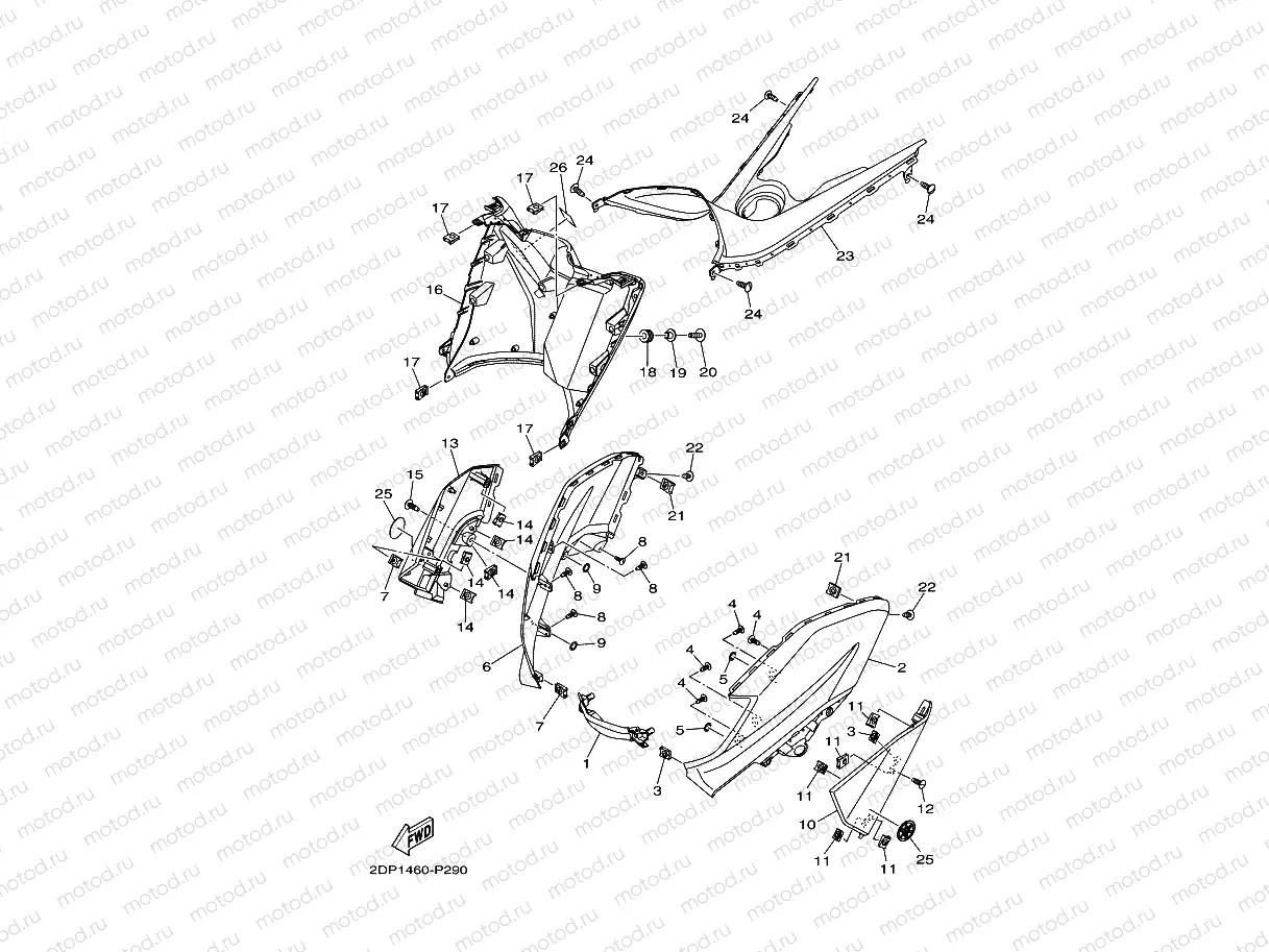LEG SHIELD