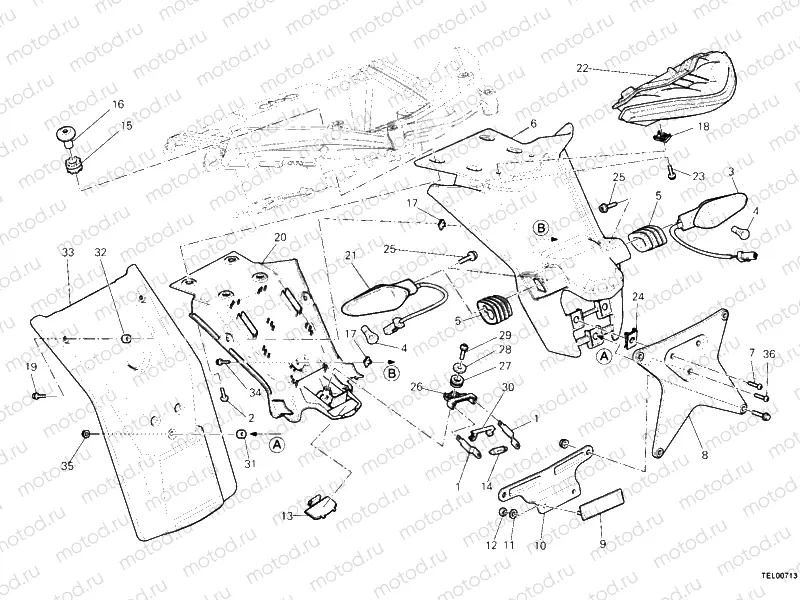 LICENSE PLATE HOLDER - TAILLIGHT AUS » LIGHTING SYSTEM