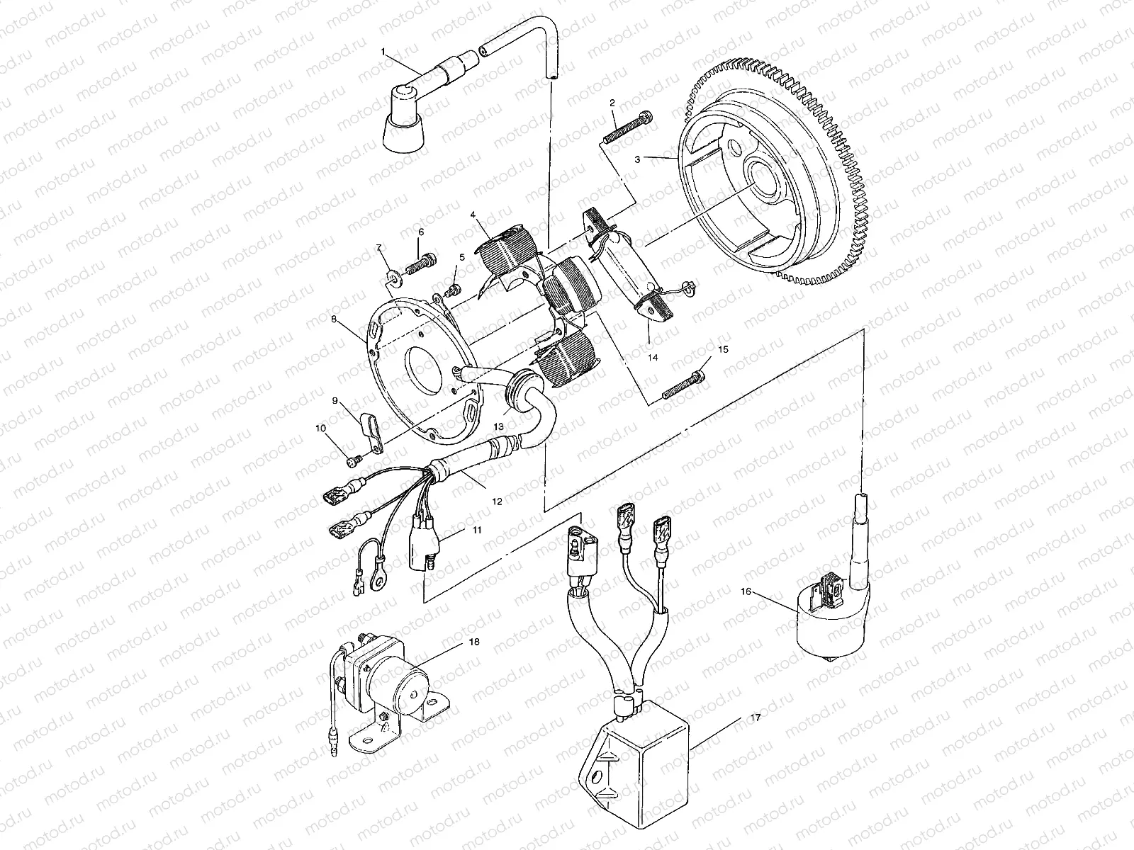 MAGNETO (BLAZER) - W967827 (4935863586D012) | MAGNETO (BLAZER) - W967827 (4935863586D012)
