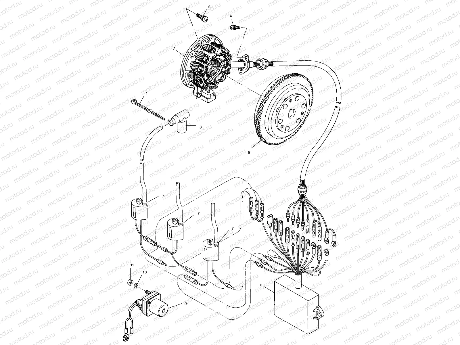 MAGNETO - W004978D (4955795579C008) | MAGNETO - W004978D (4955795579C008)