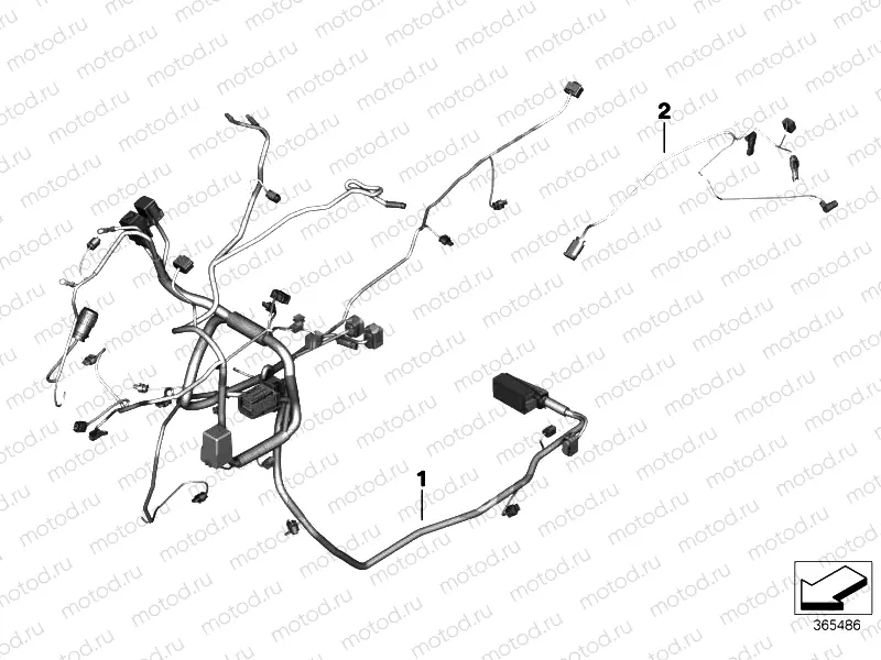 Main / rear wiring harness