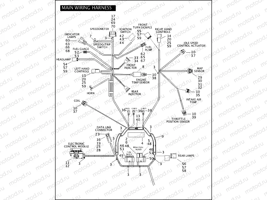 MAIN WIRING HARNESS (1 OF 2)