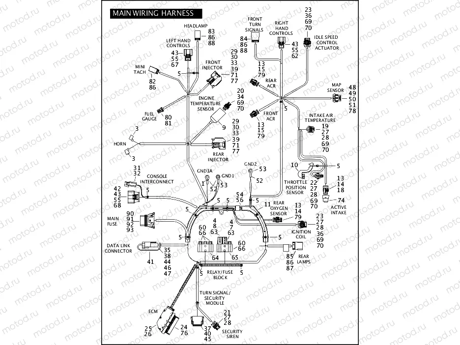 MAIN WIRING HARNESS (1 OF 2)