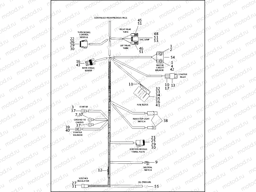 MAIN WIRING HARNESS (2 OF 2)