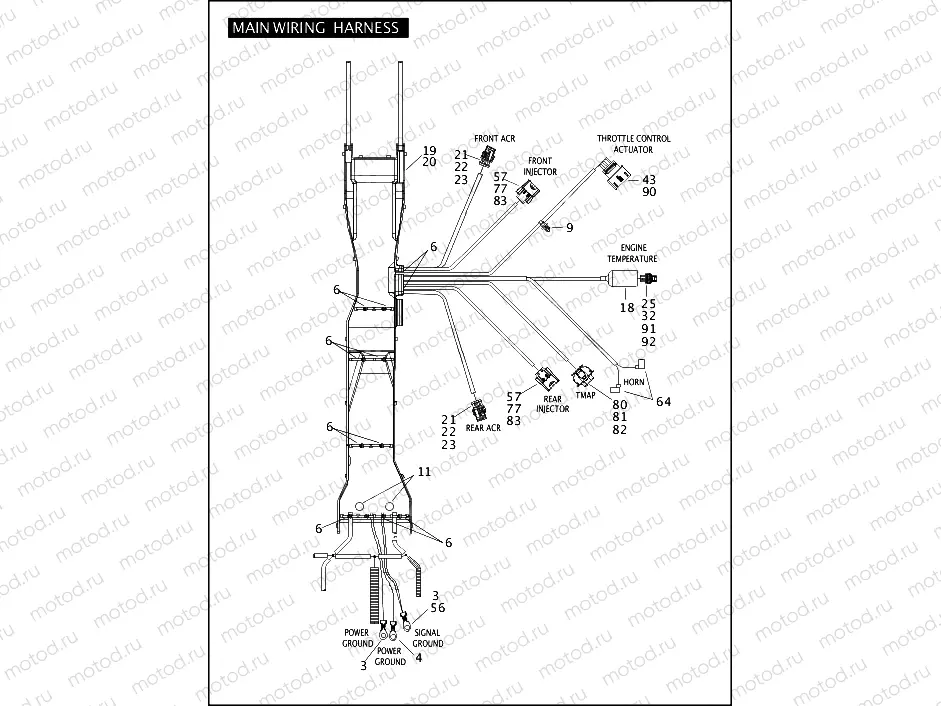 MAIN WIRING HARNESS (2 OF 5)