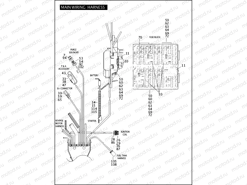 MAIN WIRING HARNESS (3 OF 5)