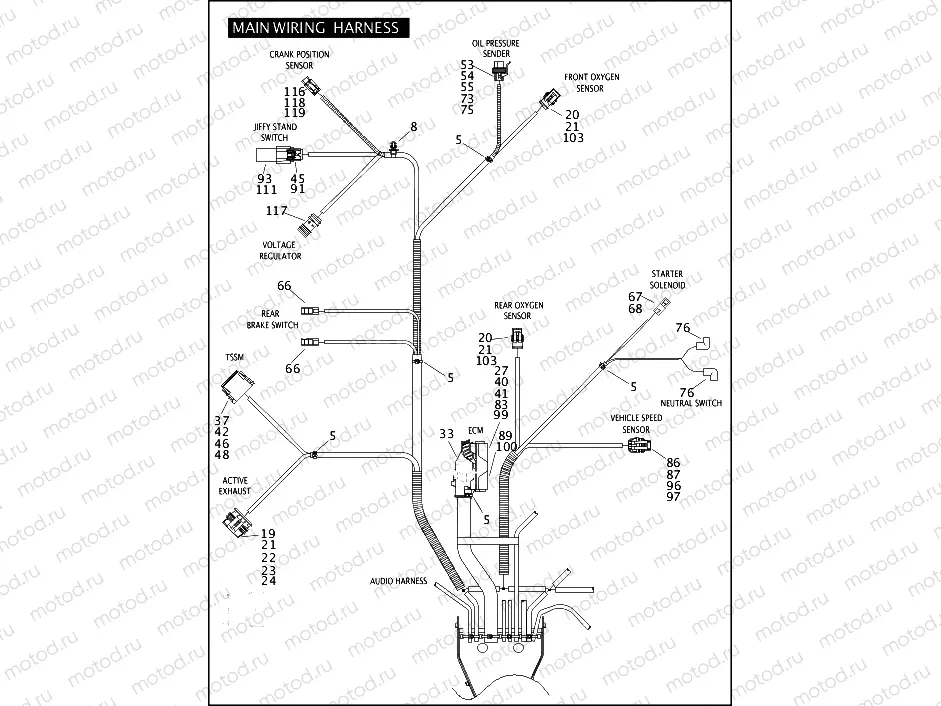 MAIN WIRING HARNESS (5 OF 5)