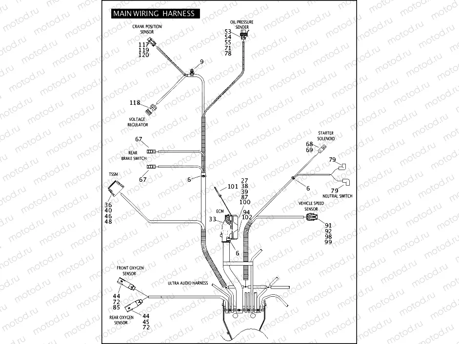 MAIN WIRING HARNESS (5 OF 5)