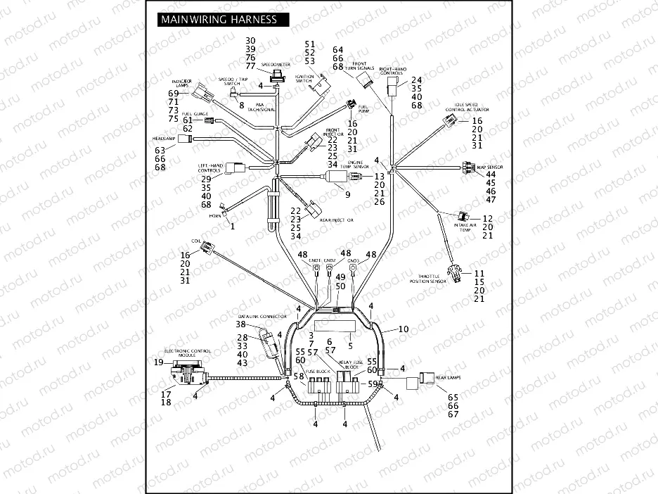 MAIN WIRING HARNESS