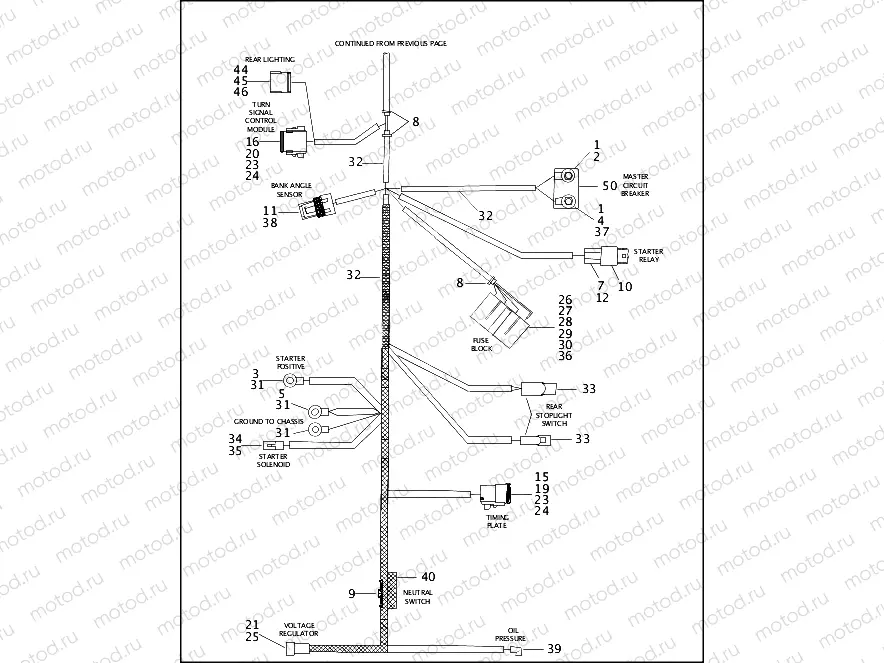 MAIN WIRING HARNESS - 883/1200 CUSTOM (2 OF 2)