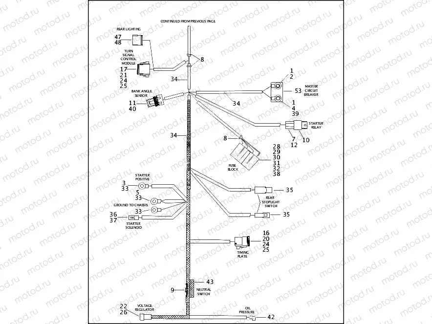 MAIN WIRING HARNESS - 883/1200 CUSTOM (2 OF 2)