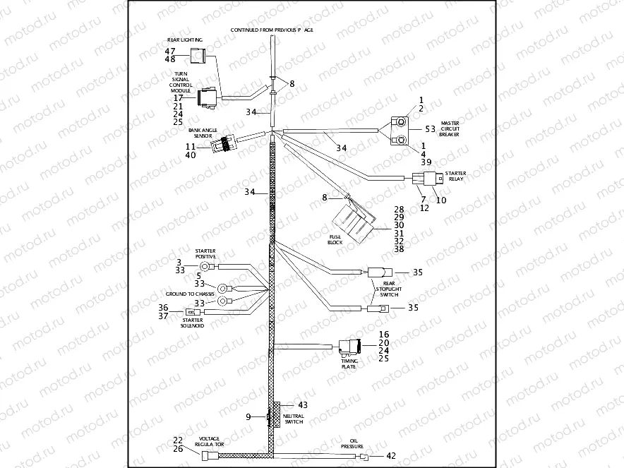 MAIN WIRING HARNESS - 883/1200 CUSTOM (2 OF 2)