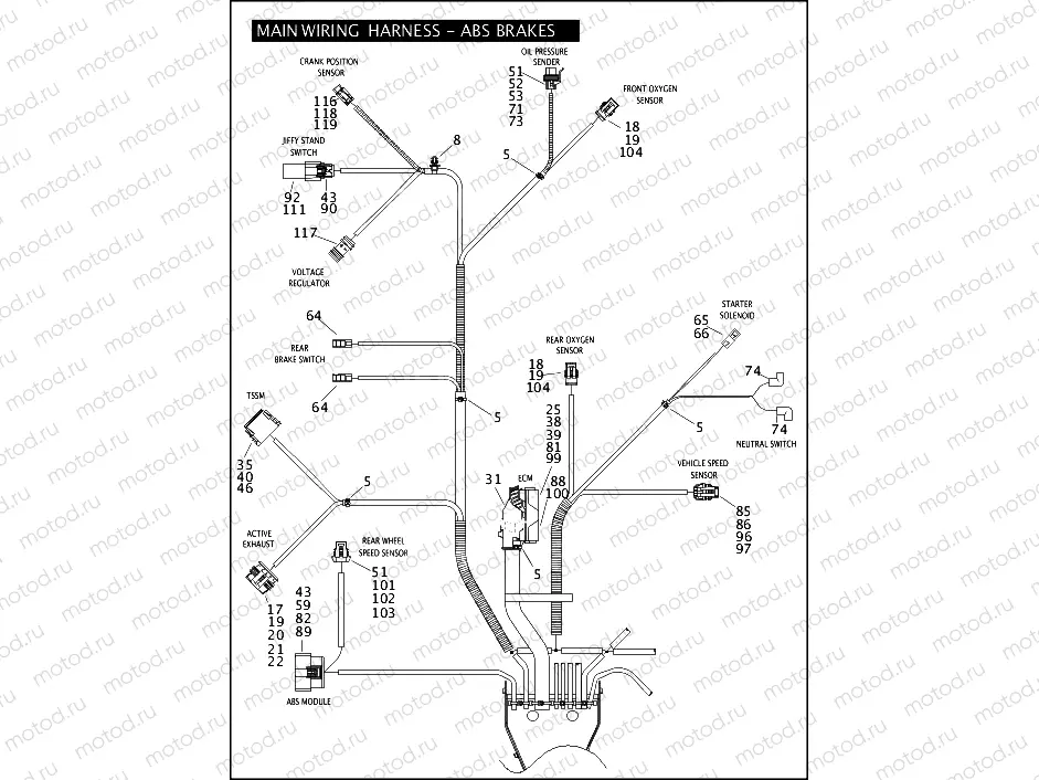 MAIN WIRING HARNESS - ABS BRAKES (5 OF 5)