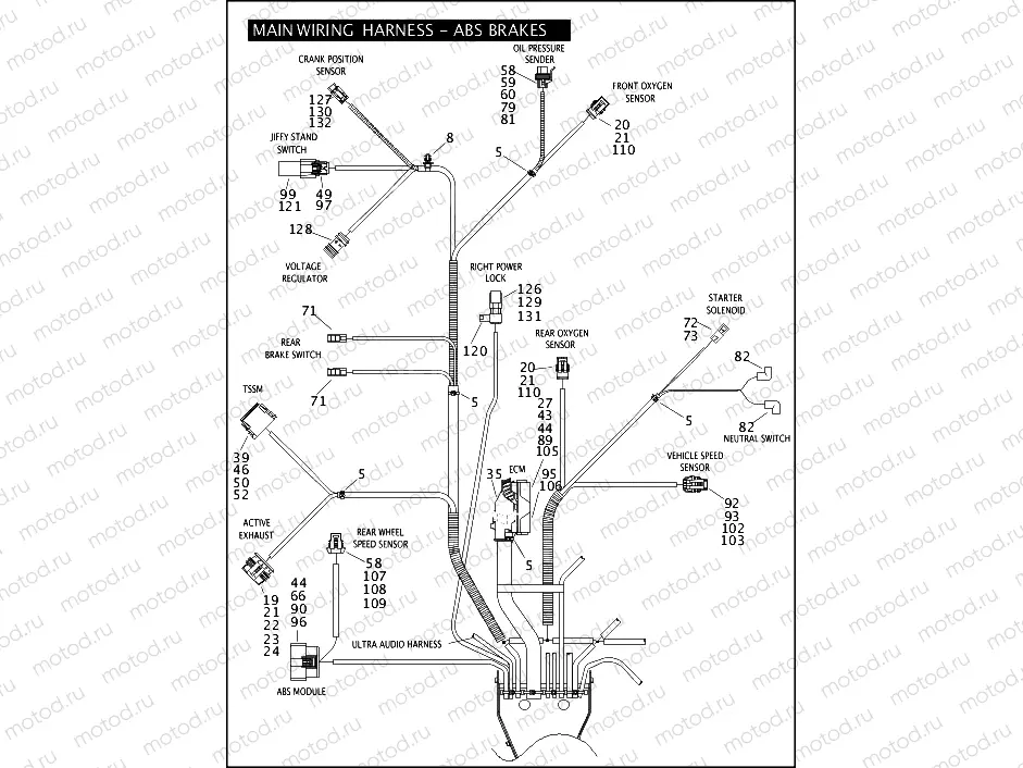 MAIN WIRING HARNESS - ABS BRAKES (5 OF 5)