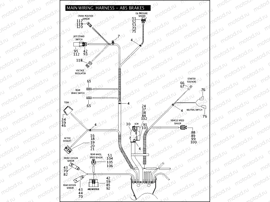 MAIN WIRING HARNESS - ABS BRAKES (5 OF 5)