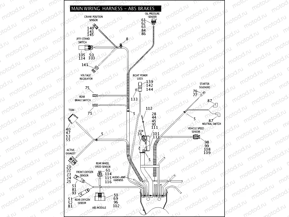 MAIN WIRING HARNESS - ABS BRAKES (5 OF 5)
