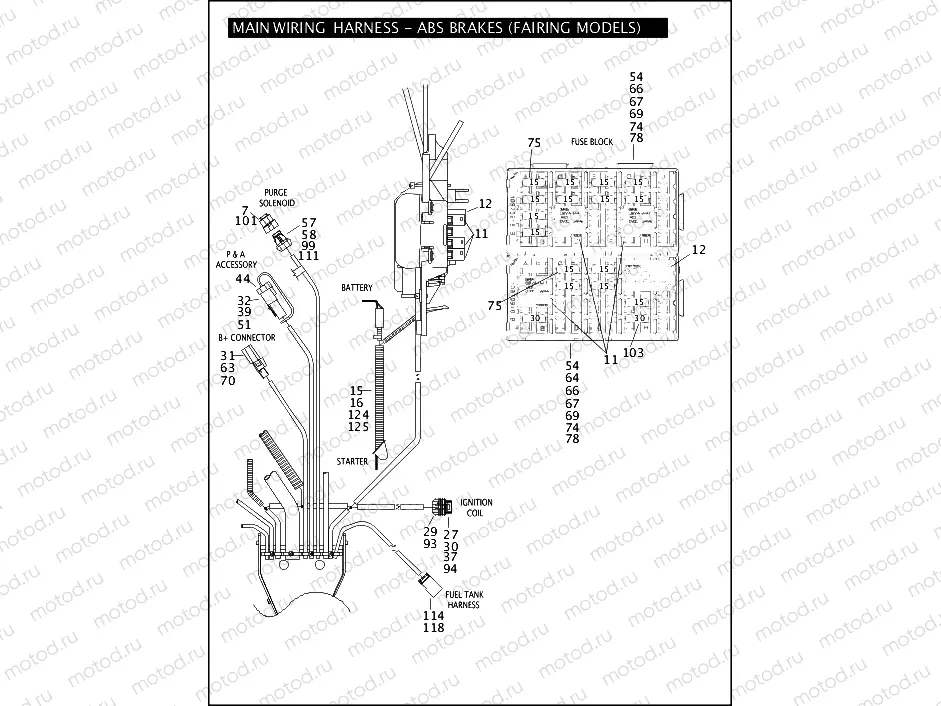 MAIN WIRING HARNESS - ABS BRAKES (FAIRING MODELS) (3 OF 5)
