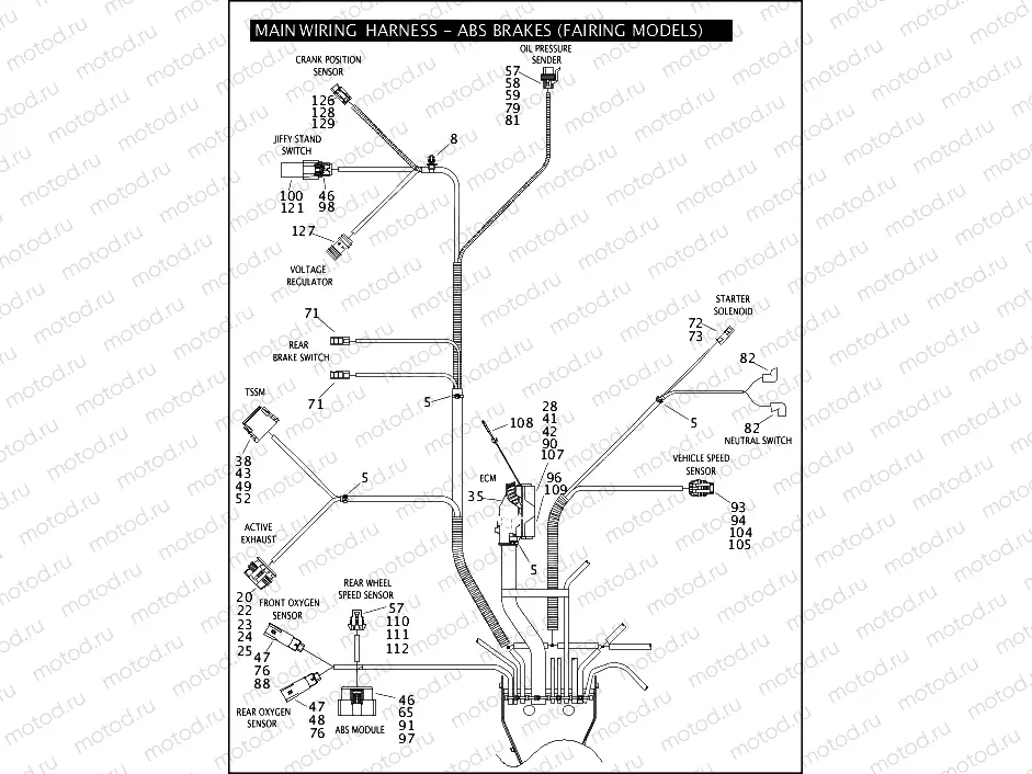 MAIN WIRING HARNESS - ABS BRAKES (FAIRING MODELS) (5 OF 5)