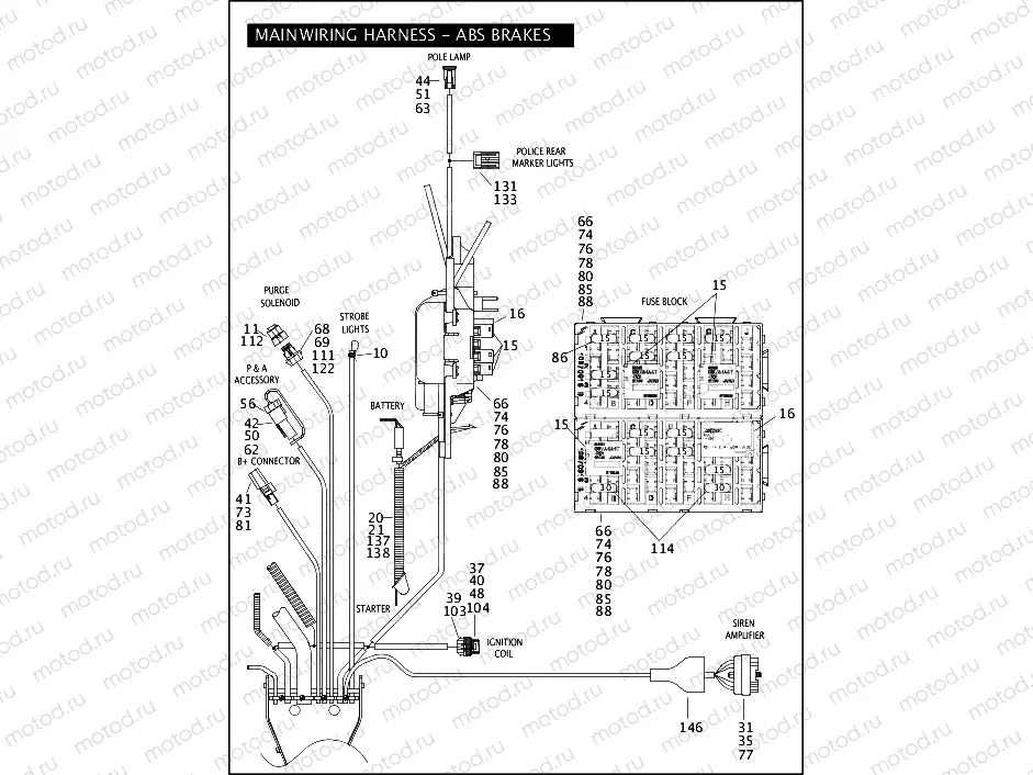 MAIN WIRING HARNESS - ABS BRAKES - FLHP & FLHPE (3 OF 5)