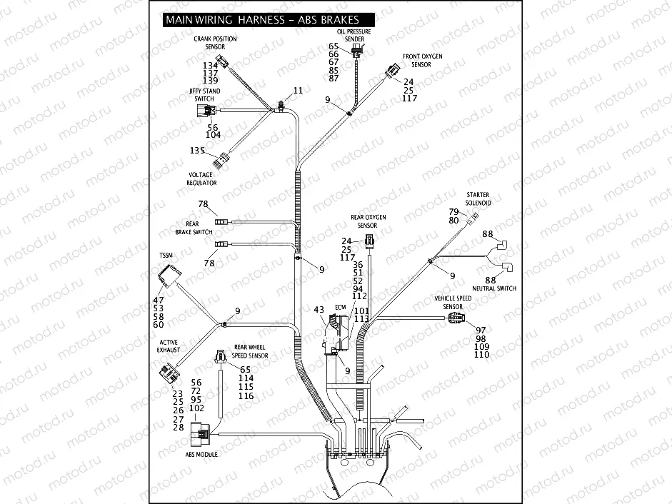 MAIN WIRING HARNESS - ABS BRAKES - FLHP & FLHPE (5 OF 5)