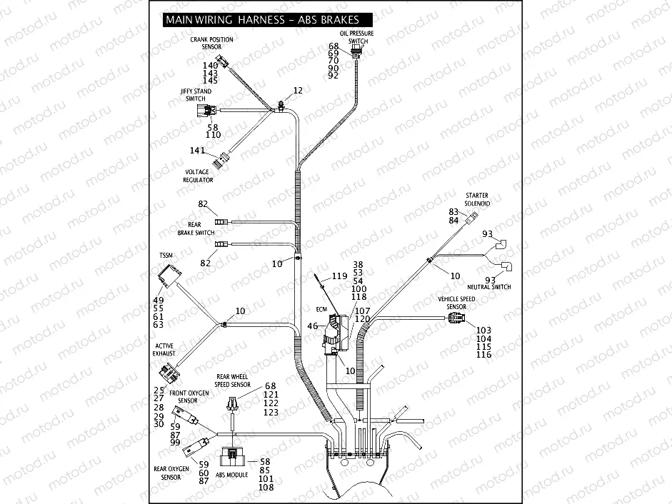 MAIN WIRING HARNESS - ABS BRAKES - FLHP & FLHPE (5 OF 5)