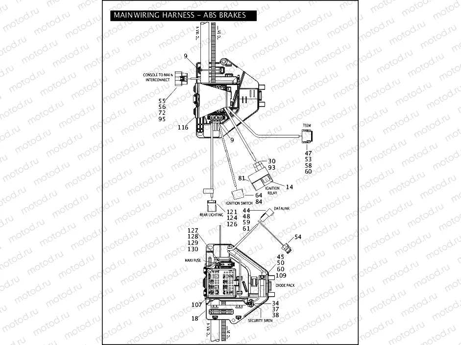 MAIN WIRING HARNESS - ABS BRAKES - FLHP & FLHPE (CONTINUED)