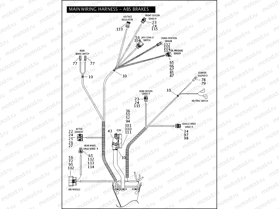 MAIN WIRING HARNESS - ABS BRAKES - FLHP & FLHPE (CONTINUED)